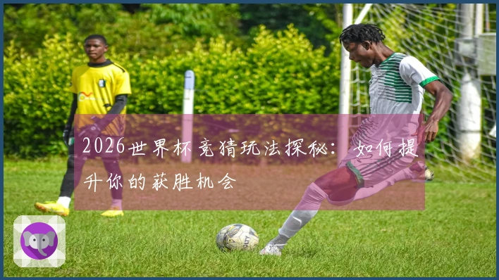 2026世界杯竞猜玩法探秘：如何提升你的获胜机会
