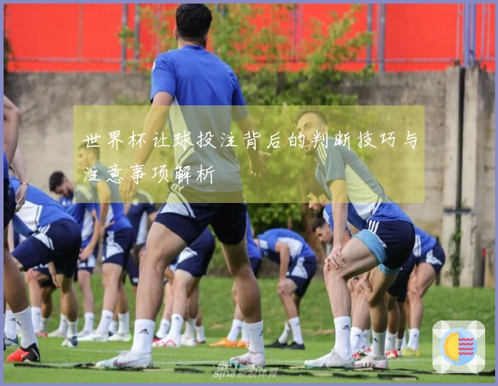 世界杯让球投注背后的判断技巧与注意事项解析