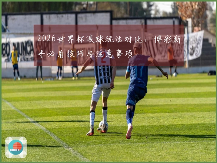 2026世界杯滚球玩法对比，博彩新手必看技巧与注意事项