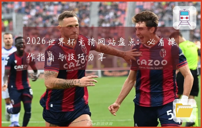 2026世界杯竞猜网站盘点：必看操作指南与技巧分享