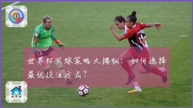 世界杯买球策略大揭秘：如何选择最优投注方式？