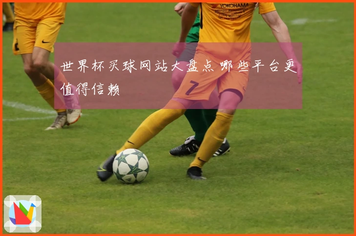 世界杯买球网站大盘点 哪些平台更值得信赖